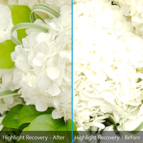 Graphic Editor Corel AfterShot Pro 3 ESD English Japanese German Full Windows 10