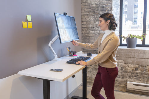 Ergotron MXV Series MXV Desk Monitor Arm