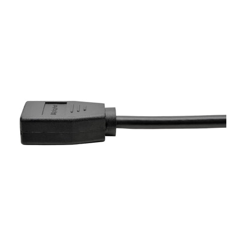 Tripp Lite P130-06N-DP-V2 video cable adapter