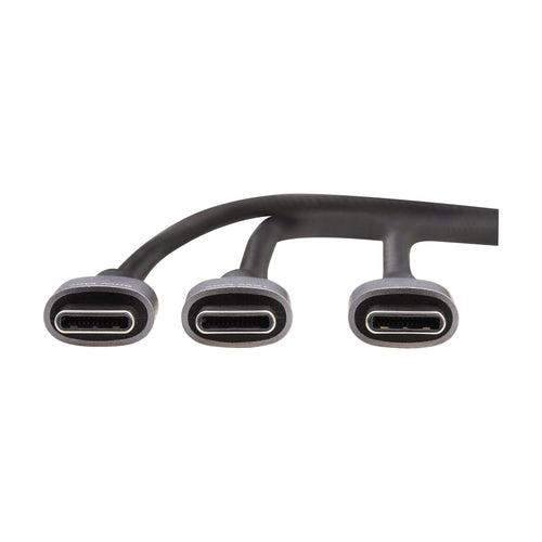 Tripp Lite U420P-2X6-100W USB cable