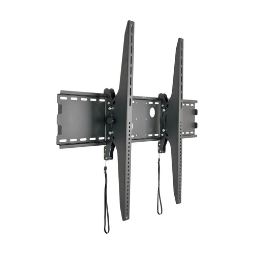 Tripp Lite DWT60100XX TV mount/stand