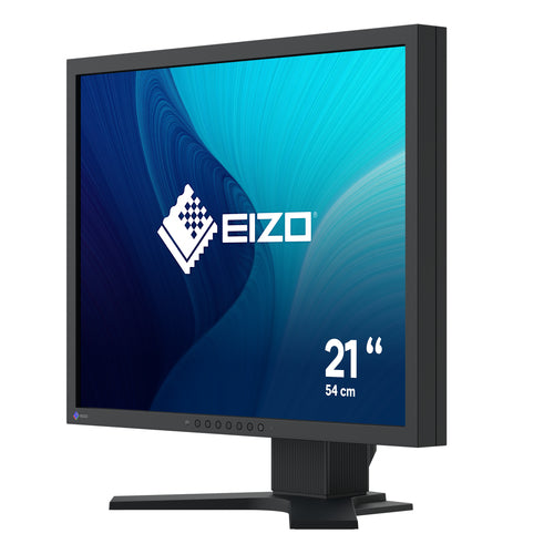 EIZO FlexScan S2134 LED display