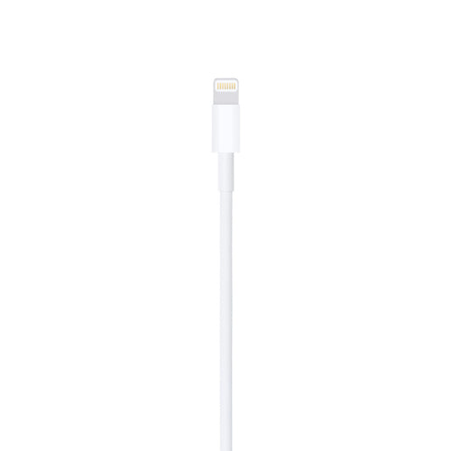 1m Lightning to USB A Cable White Apple