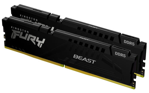 Kingston Technology FURY Beast memory module