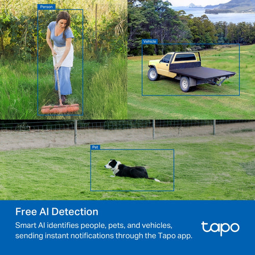 TP-Link TAPO C501GW security camera