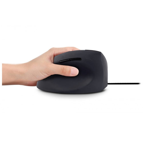 Urban Factory ERGO Next mouse