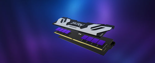 Kingston Technology FURY Renegade memory module