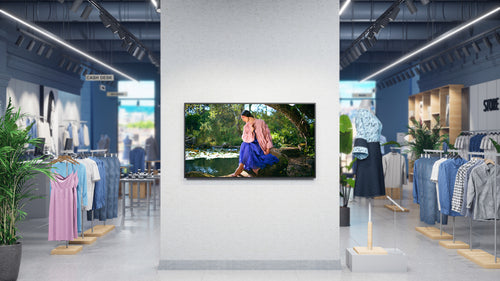 Sony BZ30P