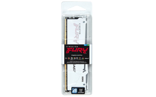 Kingston Technology FURY Beast RGB memory module