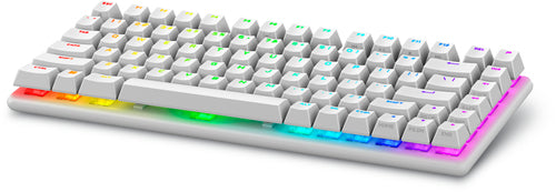 Alienware Pro Wireless Gaming keyboard