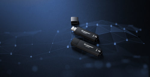 Kingston Technology IronKey D500S USB-Flash-Laufwerk