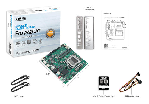 ASUS Pro A620AT-CSM
