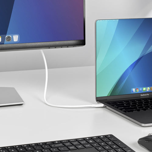 StarTech.com CDP2DP2MBW video cable adapter