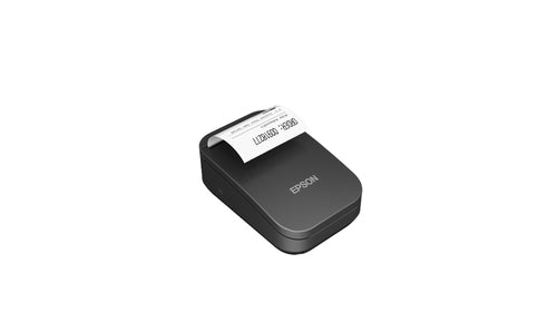 Epson TM-P20II (101)