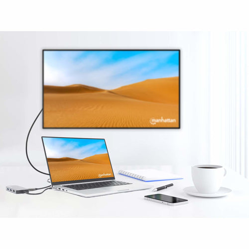 Manhattan 130615 laptop dock/port replicator