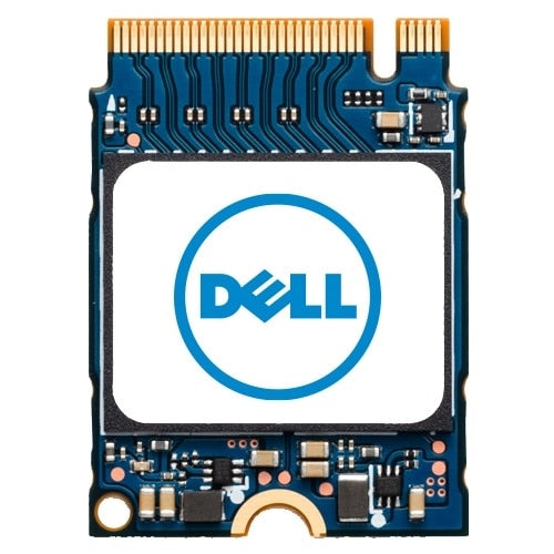DELL SNP223G43/256G internal solid state drive