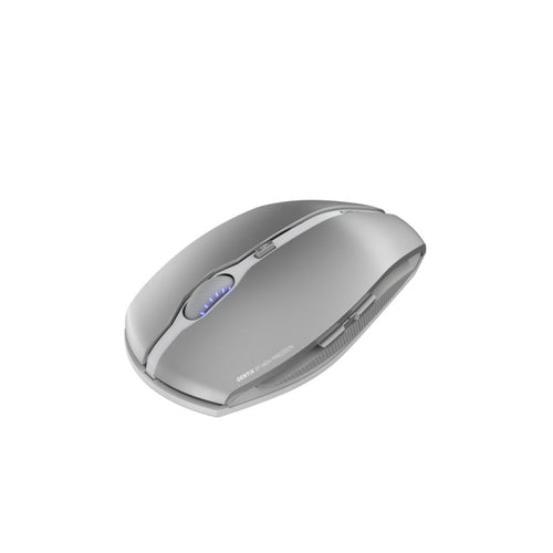 CHERRY GENTIX BT mouse