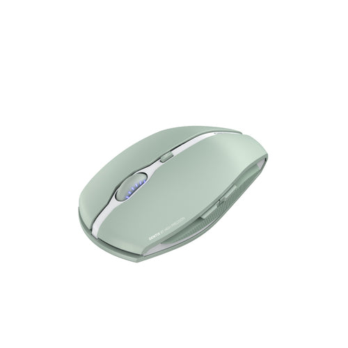 CHERRY GENTIX BT mouse