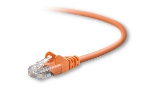 Belkin Cat5e, 30ft, 1 x RJ-45, 1 x RJ-45, Orange networking cable