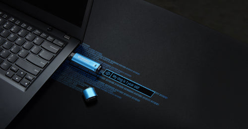 Kingston Technology IronKey Vault Privacy 50 USB-Stick