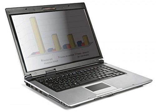 Urban Factory SSP54UF display privacy filter