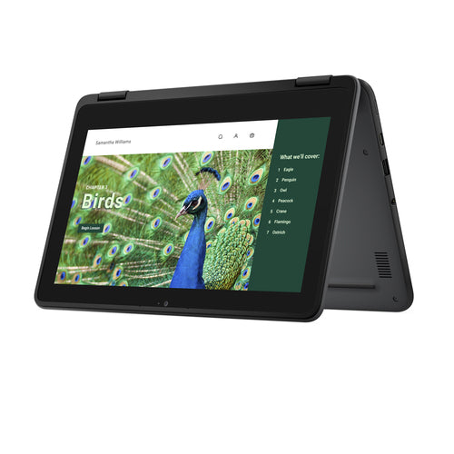 DELL Chromebook 3120 2-in-1