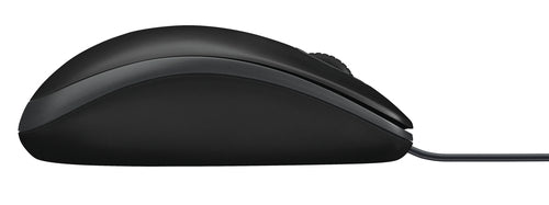 Logitech B100 mouse