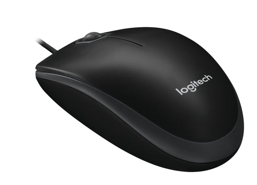 Logitech B100 mouse