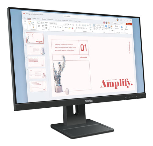 Lenovo ThinkVision E24-40 computer monitor