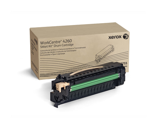 Xerox Tonerkartusche 113R00755 80000 Seiten Druckkapazität