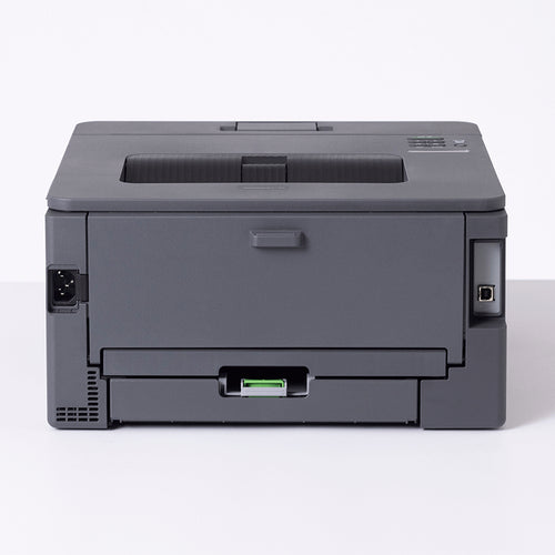 Brother HL-L2400DW laser printer