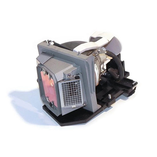 BTI 317-1135- projector lamp