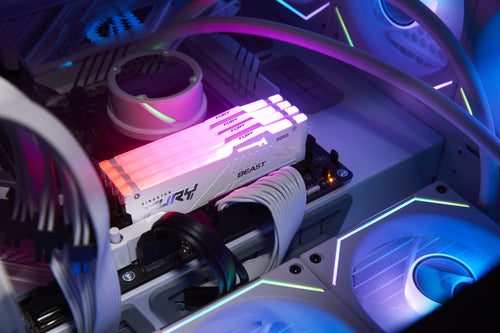 Kingston Technology FURY Beast RGB memory module