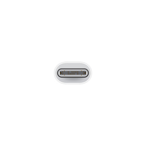 USB-C to Lightning Adapter USB Type-C Male to Female White