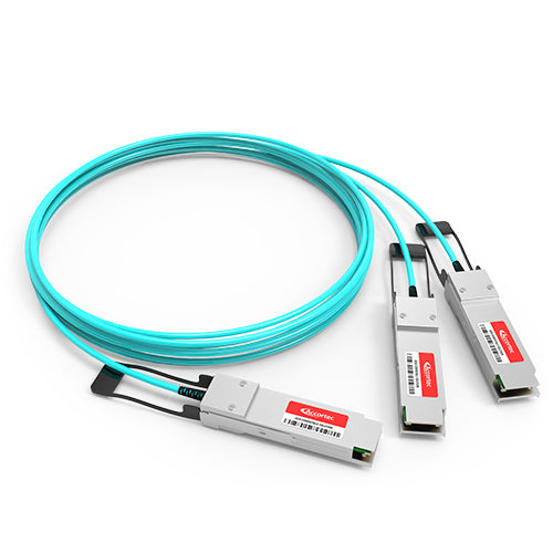 Accortec MFS1S50-H100E-ACC InfiniBand/fibre optic cable