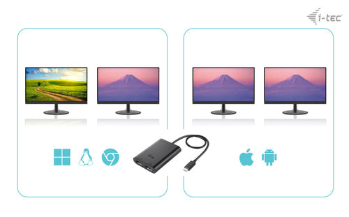 i-tec C31DUAL4K60DP USB graphics adapter