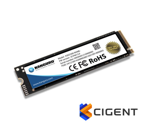 500GB M.2 NVMe SSD iStorage Kanguru Defender SED300 FIPS 140-2 Certified 3300MB/s