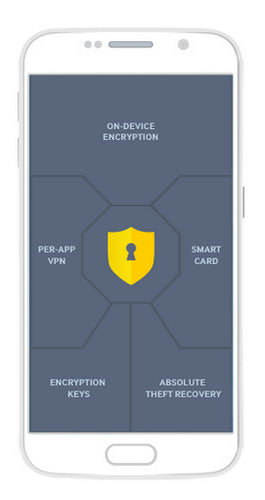 Samsung KNOX Workspace, 1 Y