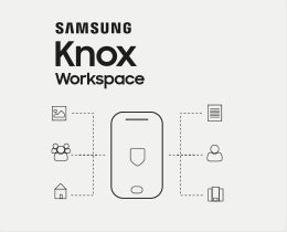 Samsung KNOX Workspace, 1 Y