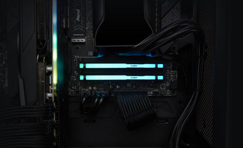 Kingston Technology FURY Beast RGB memory module