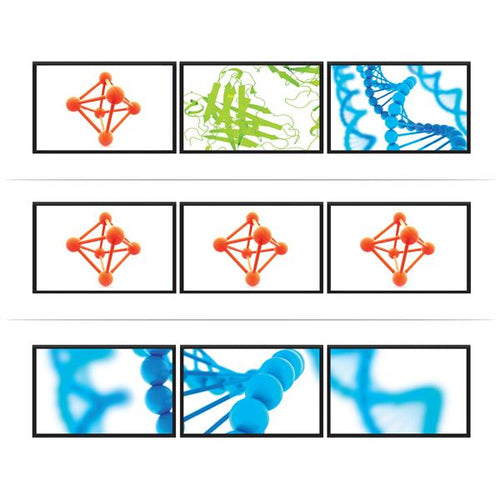 StarTech.com MSTDP123DP video splitter