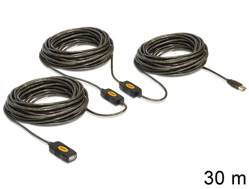 DeLOCK 30m, USB2.0 - USB2.0 USB cable