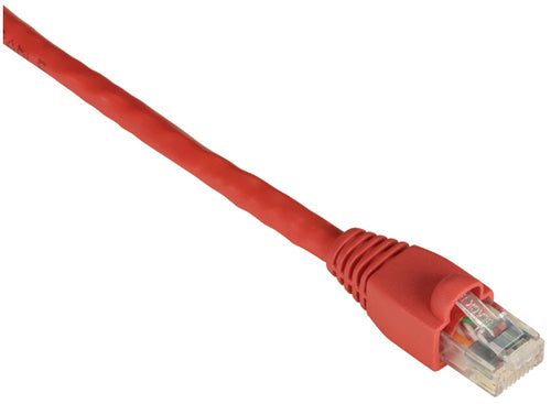 Black Box 3m Cat6 UTP 550 MHz networking cable