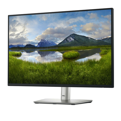 DELL Pro Plus P2425 Computermonitor