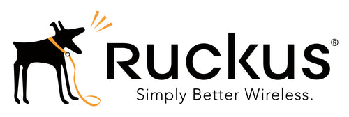 RUCKUS Networks S22-VSZD-5LDH warranty/support extension