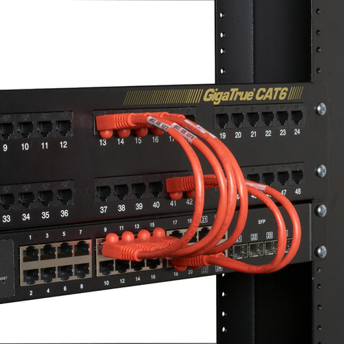 Black Box 6" CAT6 networking cable