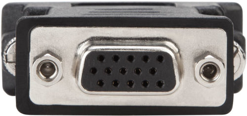 DVI-I-zu-VGA-Gender-Changer-Adapter Targus Schwarz