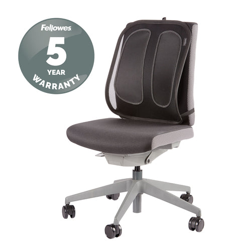 Fellowes 9191301 chair back support