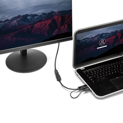 StarTech.com HD2DP video cable adapter