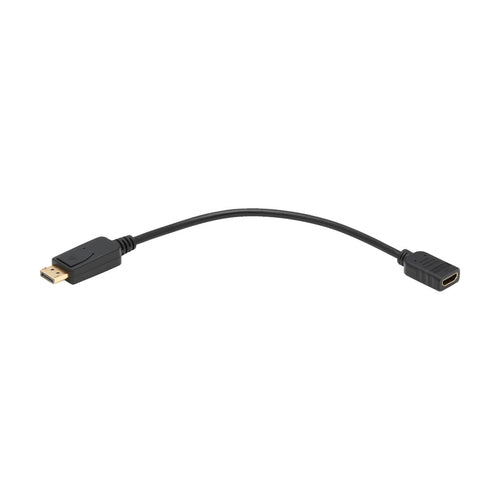 DisplayPort to HDMI Adapter Tripp Lite P136-001 1ft HDCP Male to Male